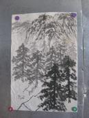 松林 画一幅 69/47厘米