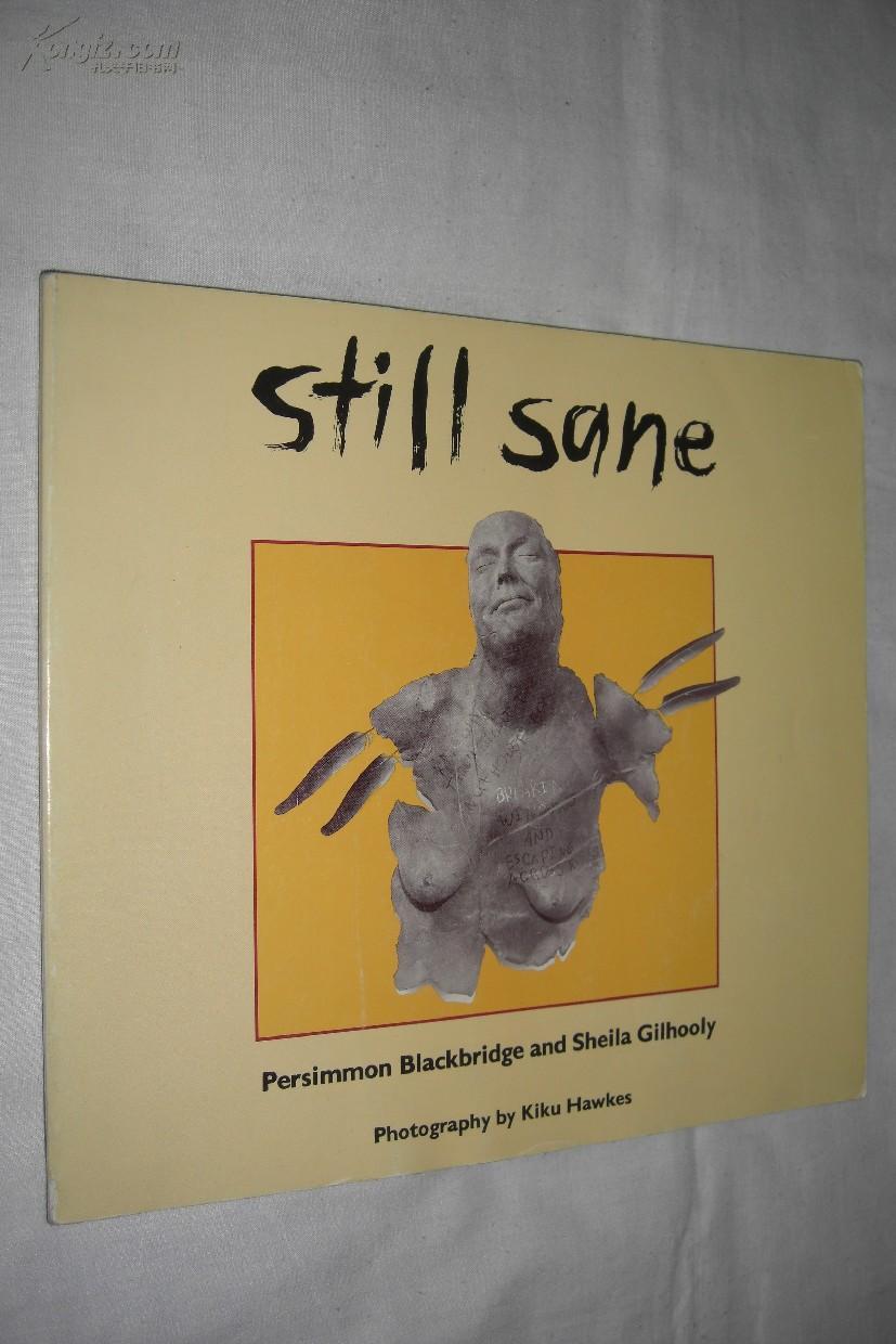 still sane（加拿大艺术家Persimmon Blackbridge和Sheila Gilhooly作品集，雕塑作品）