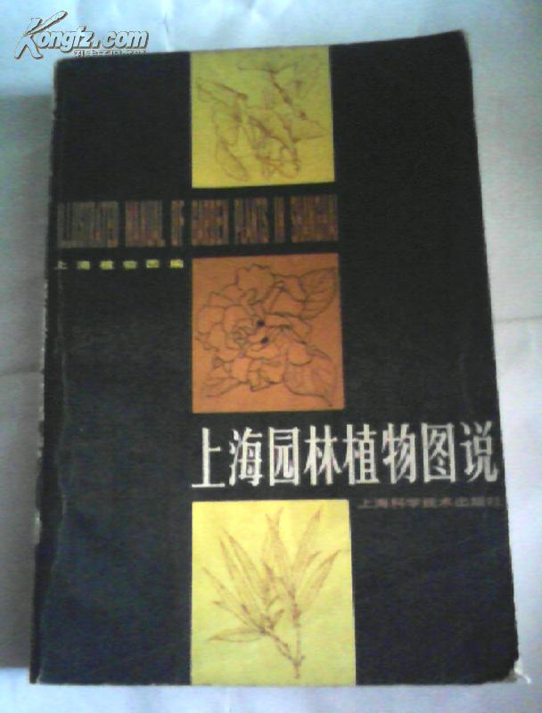 上海园林植物图说 【一版一印】