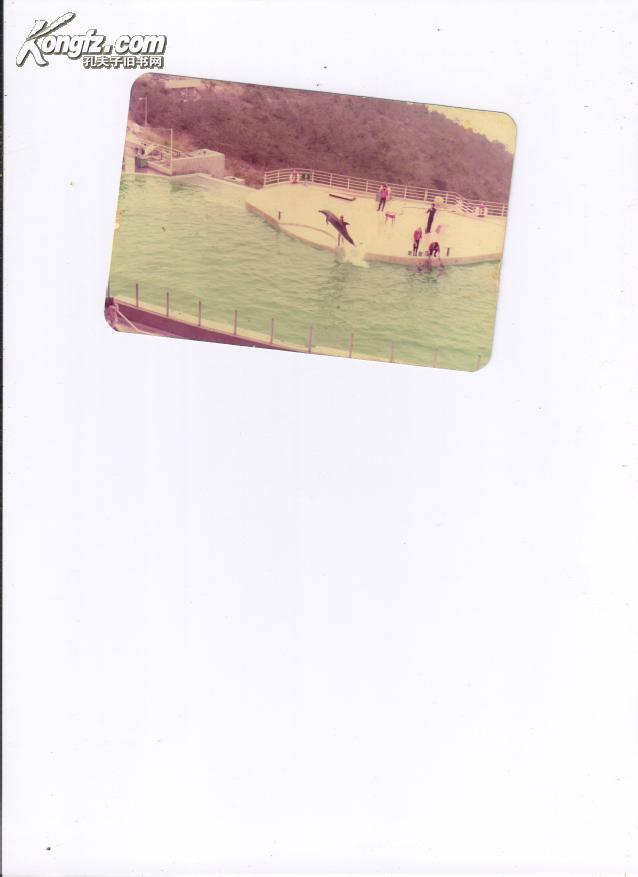 邱振中赠的香港海洋公园照片1979年