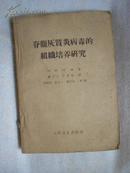 脊髓灰质炎病毒的组织培养研究 （61年1版1印）