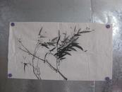 竹子 画一幅 89/48厘米
