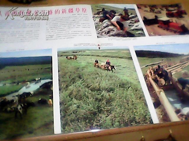 民族画报1965年第9期（9月号）【总第111期】