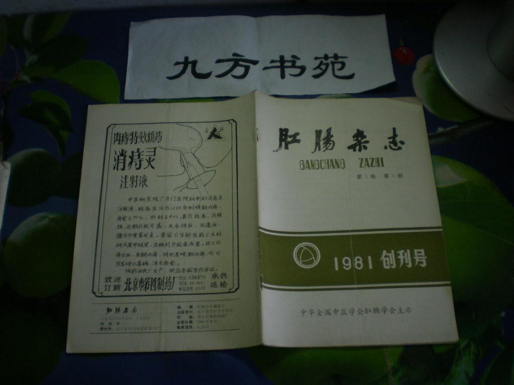 肛肠杂志 创刊号