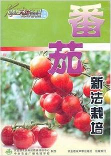 《西红柿种植技术,新手种植西红柿理想教材》