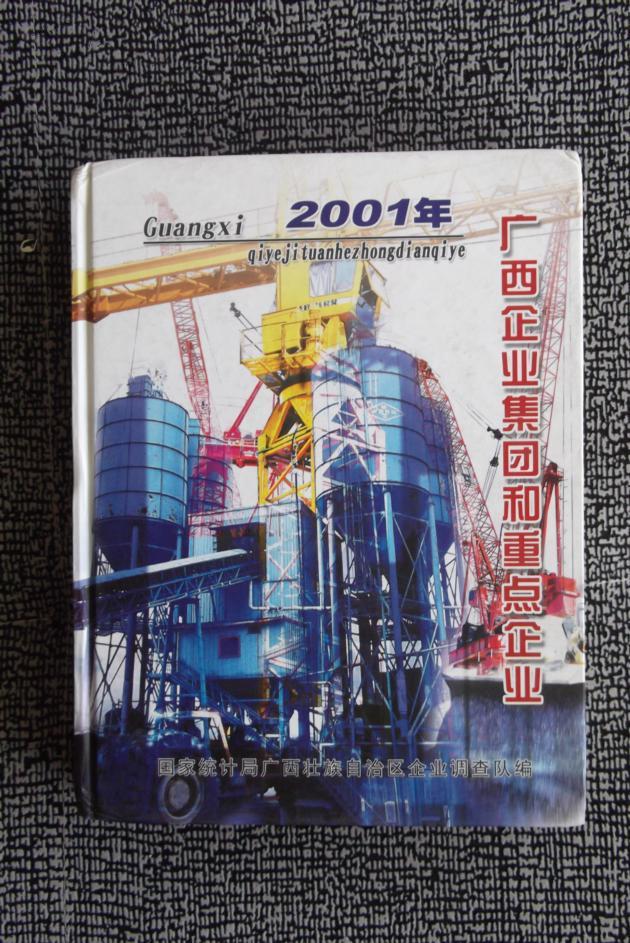 广西企业集团和重点企业统计监测年鉴2002