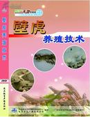 大壁虎养殖技术视频U盘（如何繁殖壁虎）3书蛤蚧高效养殖技术一本通