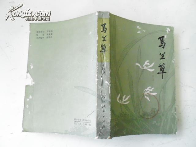 点击查看原图 马兰草