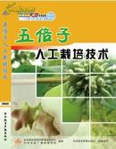 五倍子人工培育技术视频，怎么种植五倍子