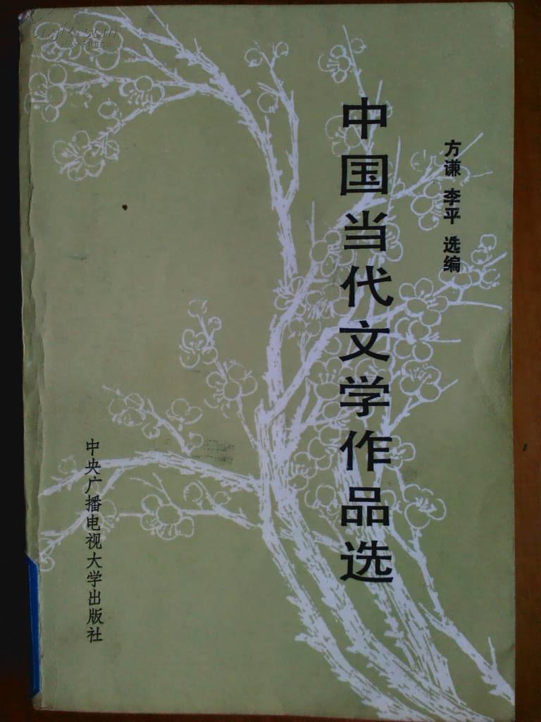 中国当代文学作品选