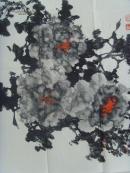 朱全增：画：晨露（带上款）（山东省美术家协会副主席、浙江现代书画院院长、国家一级美术师、中国美协会员。山东画院高级画师，北京京桥大学美术系教授，民族书画艺术家协会主席）带《朱全增画集》（补图1）