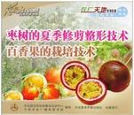 百香果栽培技术视频+书 （百香果种植方法））