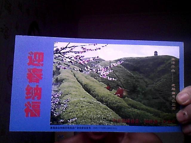 点击查看原图 中国邮政贺年有奖明信片(春满茶山-走马生态农业园)