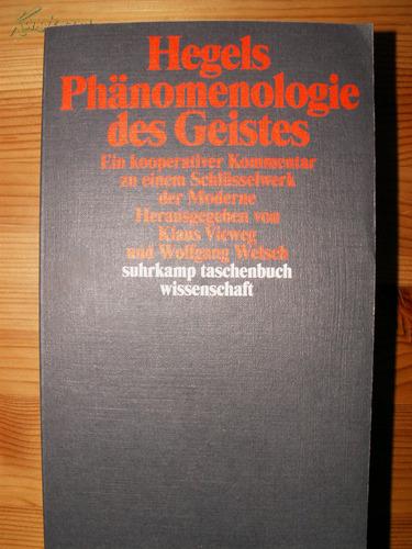 黑格尔的精神现象学注释 Hegels Phänomenologie des Geistes: Ein kooperativer Kommentar zu einem Schlüsselwerk der Moderne