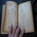 1948年东北书店《人体解剖简明图》