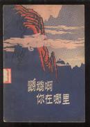 鹦鹉啊 你在哪里？【本书记载一百多年前 金银山下，少年英雄 周宝 十二则传说】