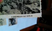 六十年代中山陵，玄武湖照片