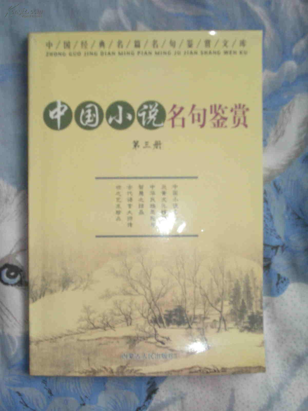 中国小说名句鉴赏辞典