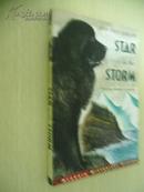 （Aladdin Historical Fiction）Star in the Storm【风暴之星，英文原版】