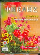 中国花卉园艺2006年第21~23期3册合售