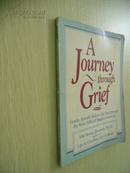 A Journey through Grief【走出阴霾，艾拉·瑞芮·波札斯，英文原版】