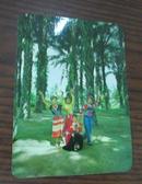 年历片--1979中国旅行社--椰子树下舞蹈---品以图为准