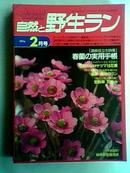 自然 野生1994.2（日文原版花卉期刊）
