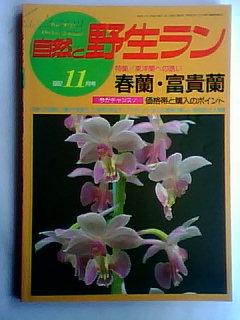自然 野生1992.11（日文原版花卉期刊）