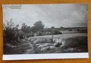 老照片  欧洲名画系列10—奥尔梅松高原麦田中的小道