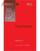 Photochemistry: Volume 33