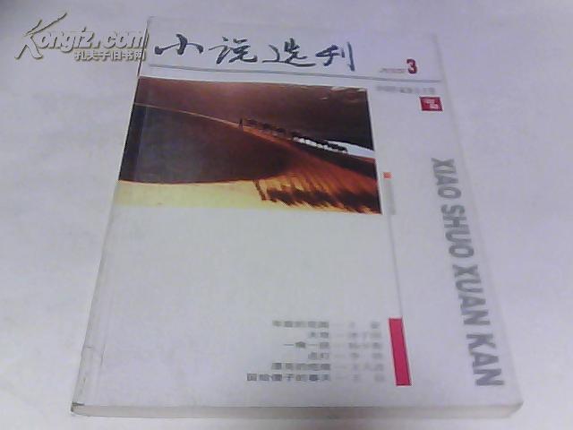 小说选刊2009年第3期