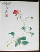 《齐白石张大千等画家画册（chinesische bluten）》纸张精致，印刷精美