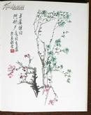 《齐白石张大千等画家画册（chinesische bluten）》纸张精致，印刷精美