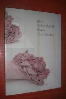 盛开——陈小丹 作品集（全新未开封）