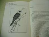 Watching Birds: An Introduction to Ornithology【观鸟：鸟类简介，英文原版】