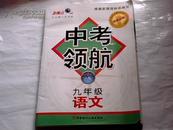 中考领航九年级语文——金视点书系