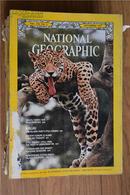 NATIONAL GEOGRAPHIC,nov.1977（美国地理杂志）