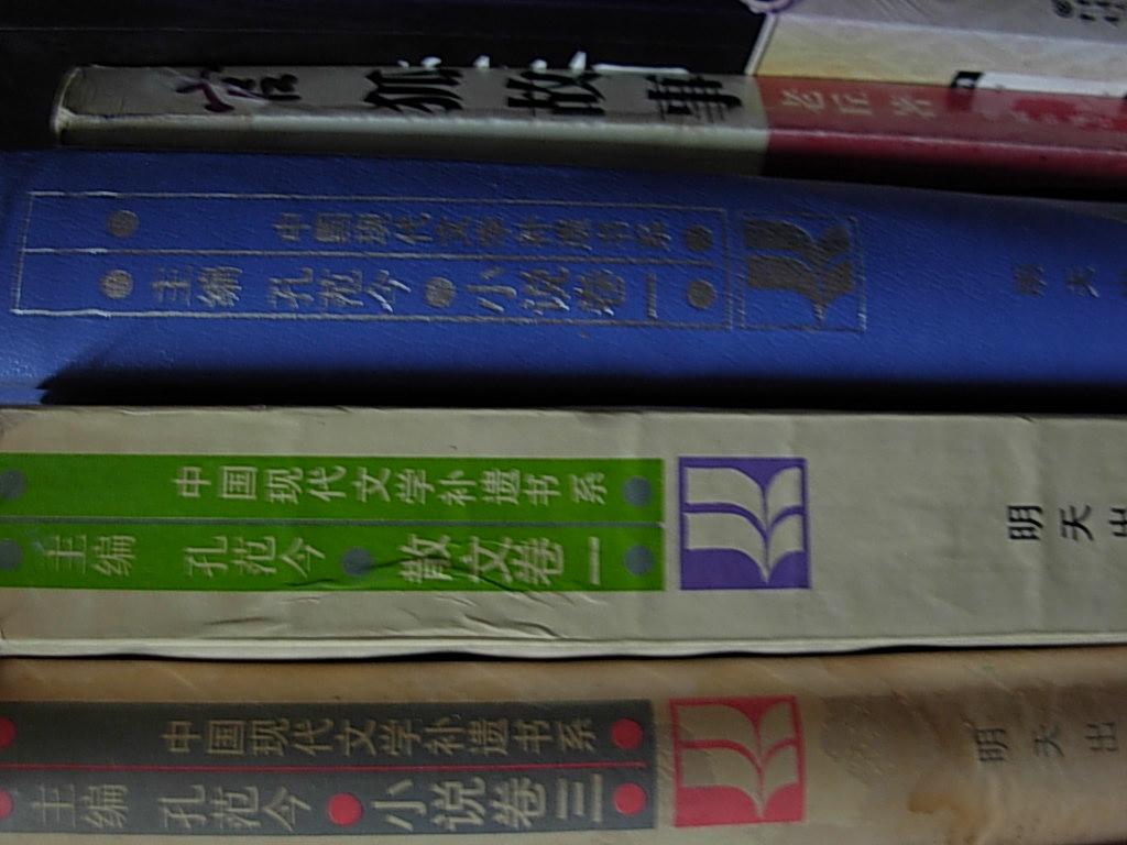 中国现代文学补遗书系（小说卷一 精装大32开本）