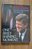 记忆中的肯尼迪（One Brief Shinning Moment:Remembering Kennedy ）