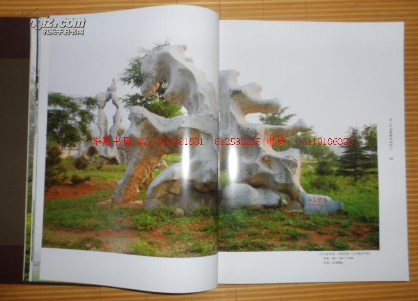 保证正版 中国费县石 16开精装彩印