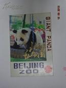 北京动物园大熊猫　明信片１套10张