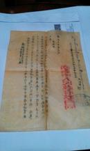 1953年 南京市人民政府教育局 通知