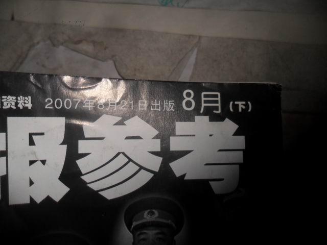 读报参考   旬刊   2007年8月下  第24期  总第444期