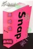 日版明星收藏SMAP Snap 10周年演唱会盛况初公开