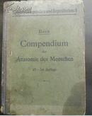 COMPENDIUM DER ANATOMIE （病理解剖学纲要）德文原版 百年老书