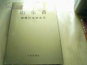 山东省拍卖行业协会志［2006年首次印发仅印3000册 16开精装］