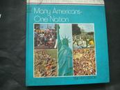 many americans-one nation