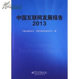 中国互联网发展报告（2013）