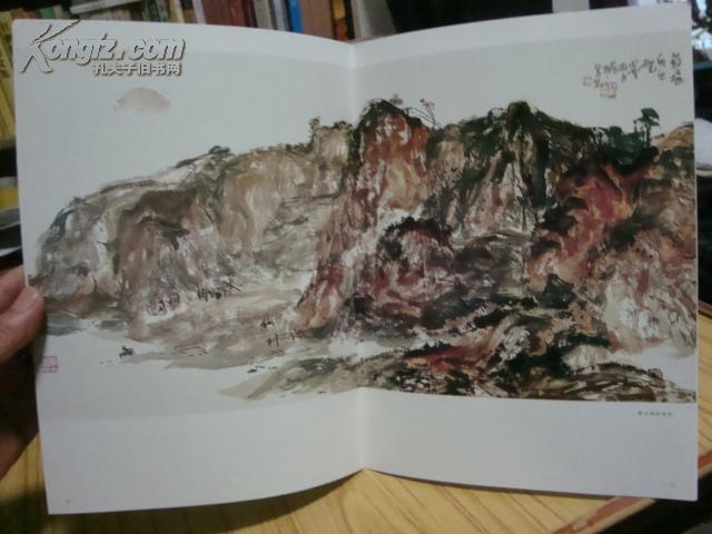 中国画名家精品选：泼墨范华