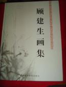 【著名画家·顾建生】顾建生画集（8开·精装）品好